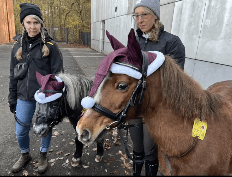 Bildschirmfoto 2025-12-08 um 12.14.21